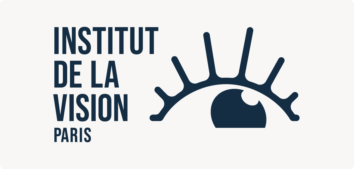page d'accueil de Institut de la vision